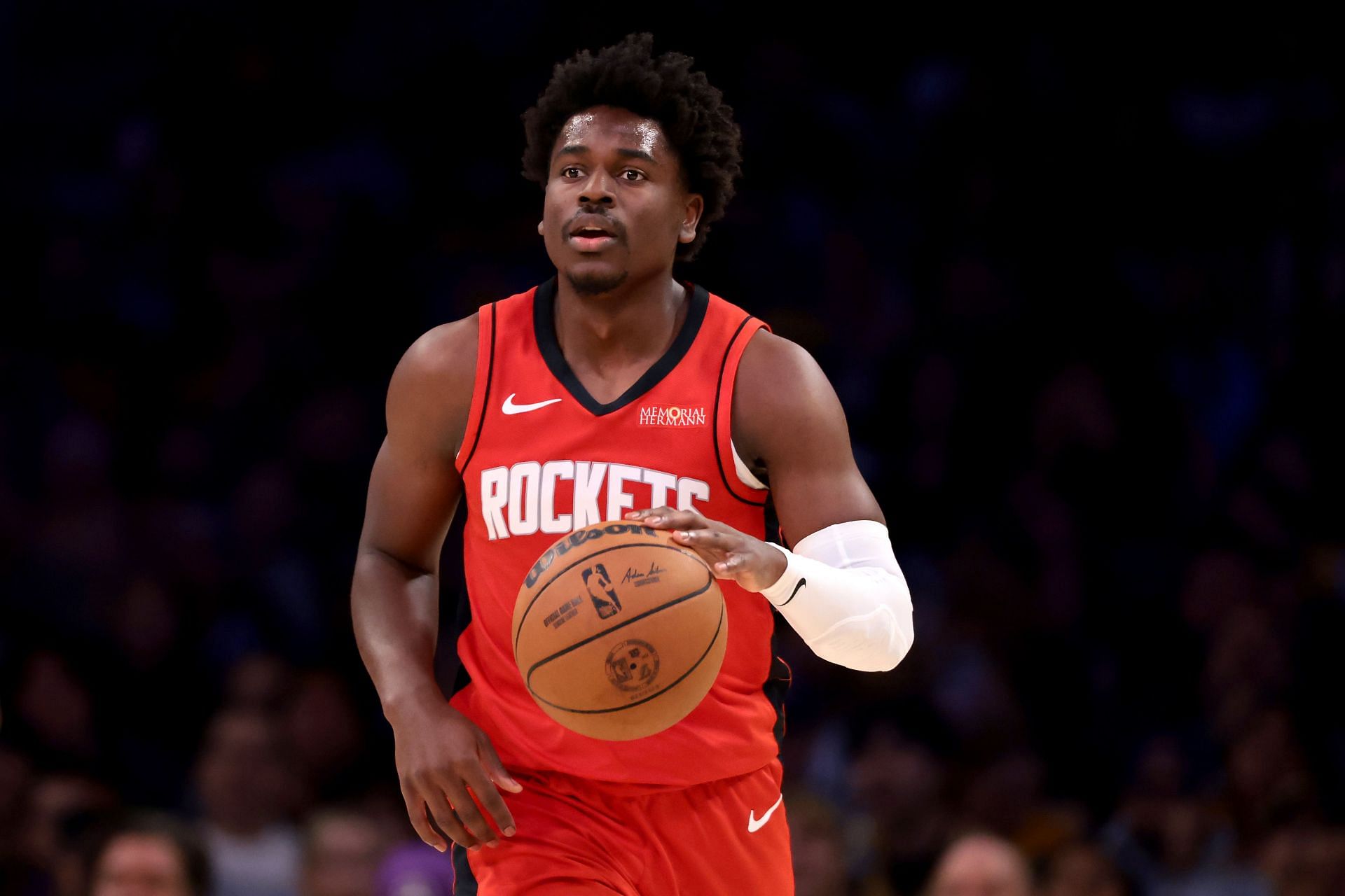 Aaron Holiday Nationality